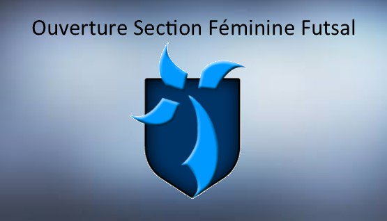 futsalcbfc's tweet photo. Le CBFC souhaite ouvrir une section féminine la saison prochaine. N'hésitez pas à nous rejoindre. #Futsal #SportFémininRennes #gocbfc https://t.co/TdznXoHQti