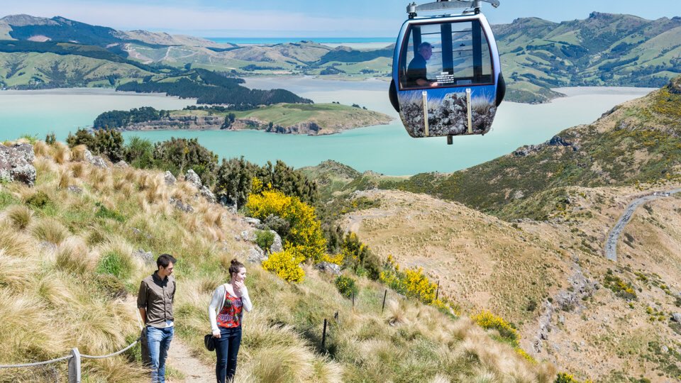 Experience stunning and unique 360° views from the summit of the Christchurch Gondola, one of the ‘must do’ tourist attractions in Christchurch. #nzmustdo #purenewzealand
mustdonewzealand.co.nz