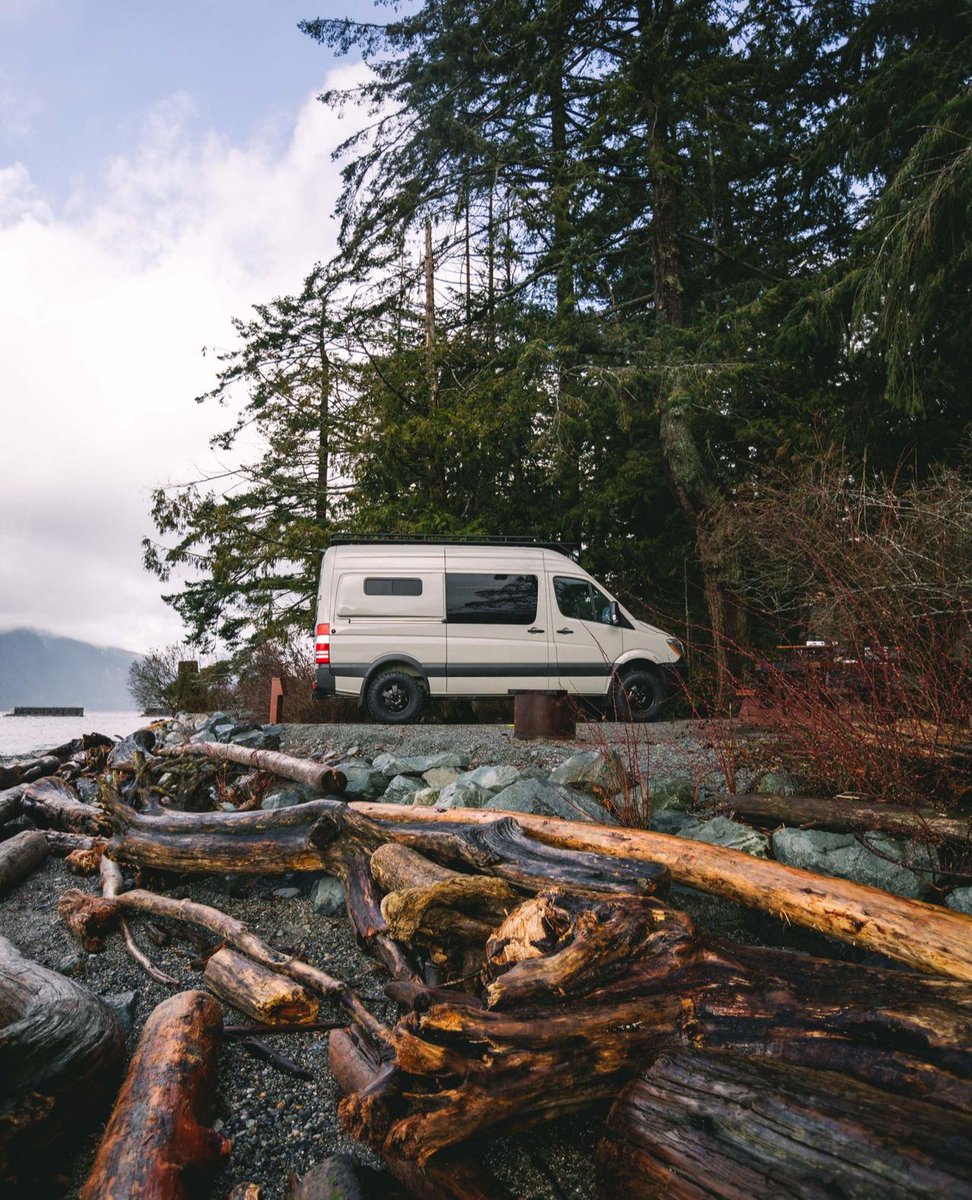 Nomad Vanz tweet media