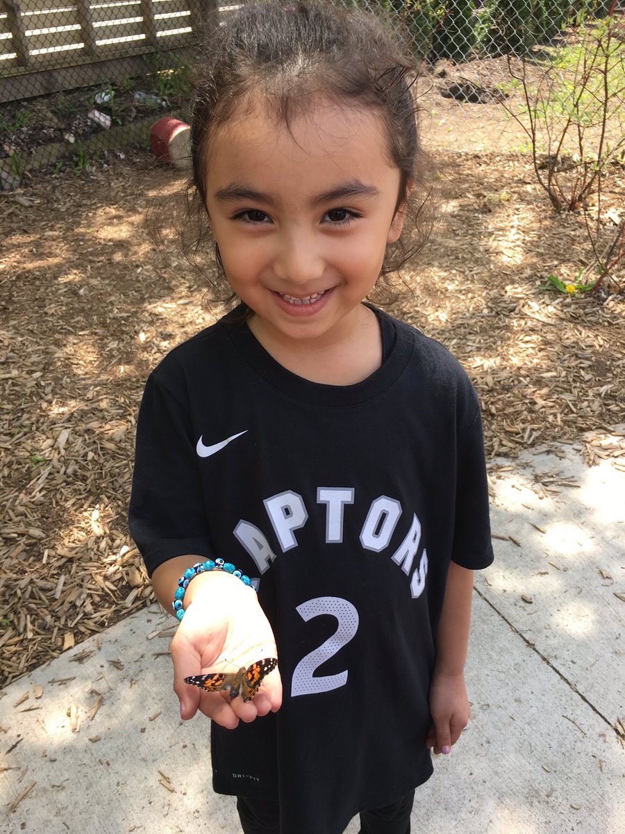 CarolynReid_LS's tweet photo. Our butterflies have emerged and now it is time to set them free! #TMSToddlerChildrensHouse #Lucysbutterflyfarm #learningcomesalive https://t.co/wH5YisC4E4