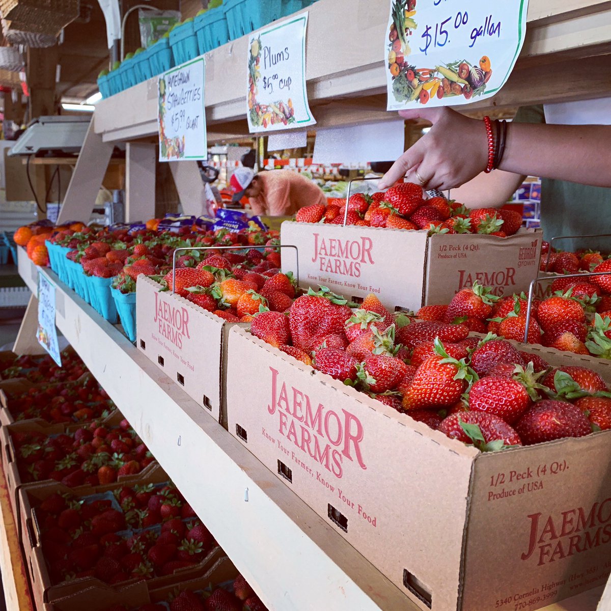 JaemorFarms's tweet photo. Some of the best berries of our season are in the market today! 🙌🏼
.
.
#exploregeorgia #jaemorfarm #georgiagrown #gafarmlife #jaemorstrawberries #exploregeorgiafarms #atlfoodie https://t.co/uPjCv65a2n