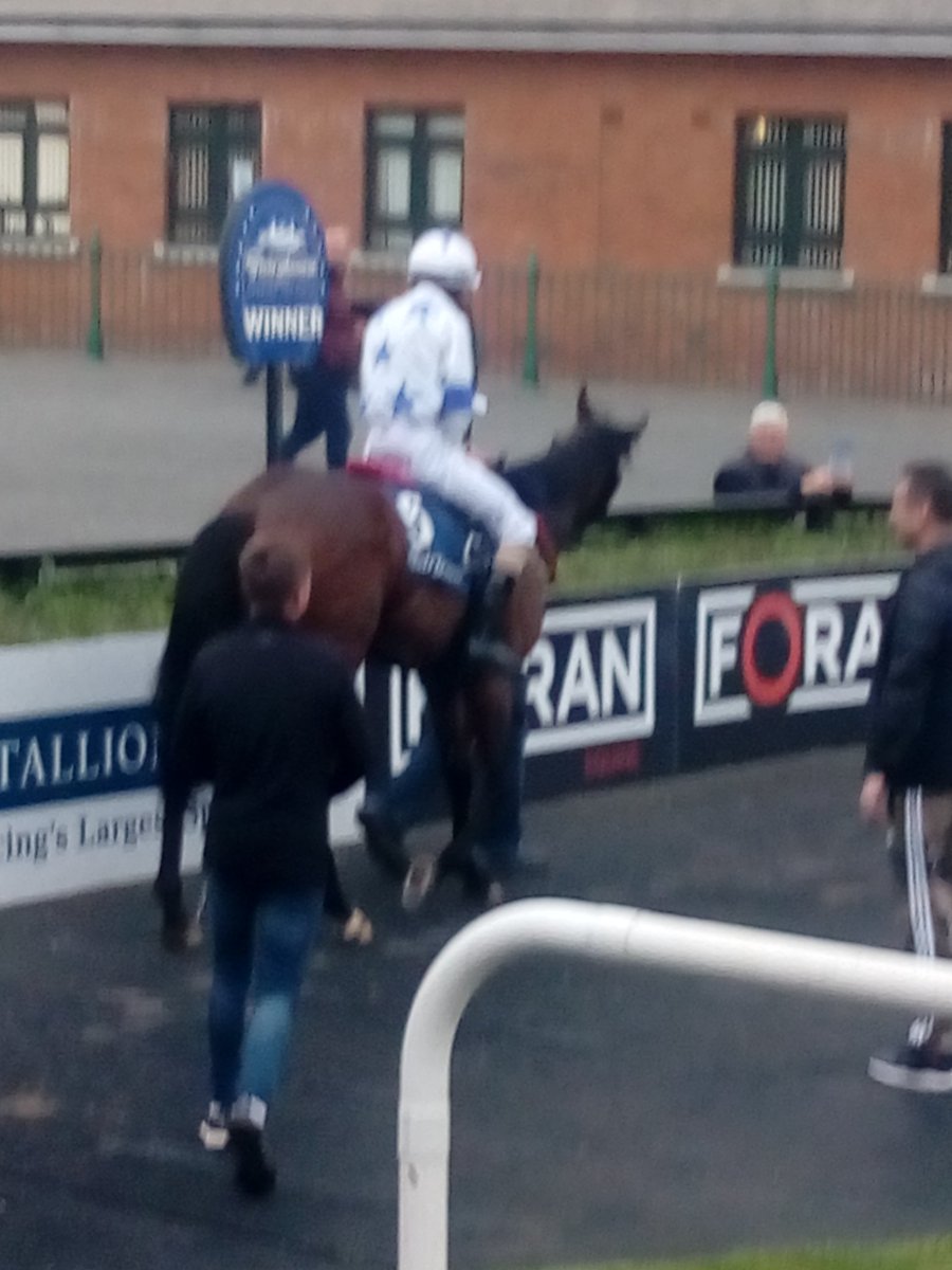 JoeSeward1's tweet photo. The young man from Hollyford in Tipperary @sheridanoey44 lands his second racecourse winner and his first on.turf here @Fairyhouse
as #MakeAChallenge lands an on course gamble 11/4 to win readily following up Sheridan's first win on #EasternRacer @DundalkStadium
#horseracing https://t.co/xmk2MyykvL