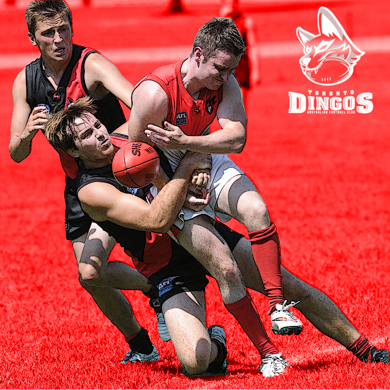 TorontoDingosFC's tweet photo. This Saturday @TorontoDingosFC will take on the @HighParkDemons in @AFLOntario round two action. Ball-up at Humber College South at 1 PM. #getaroundit

#JoinAFLCanada #AFLORd2 #jointhepack #doyouhaveto #letitdingo #afl #aflcanada #aflontario @afl @AFLCanada https://t.co/Kw9oiAAdaI