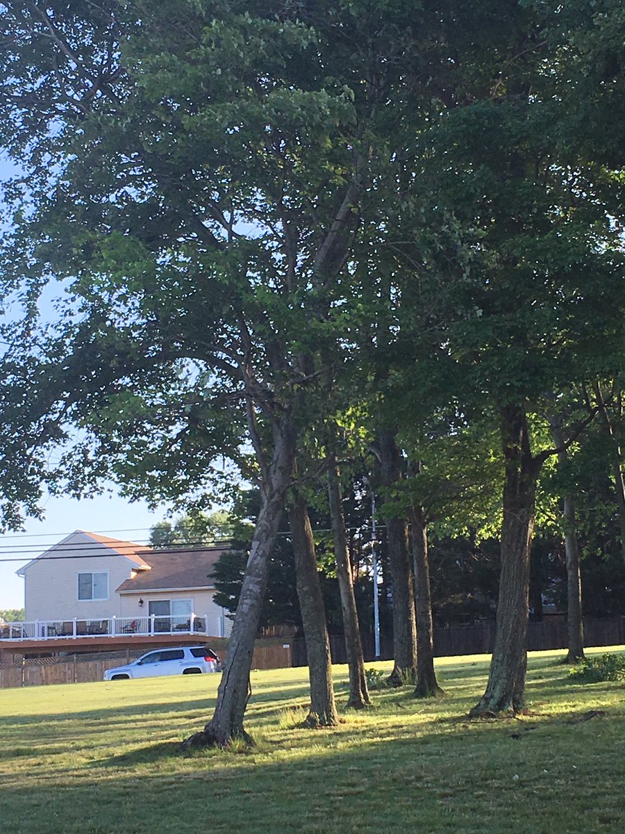 rachiexpandas03's tweet image. The tornado and severe thunderstorm destroyed Perry Hall yesterday! I was in the car during it all and it was scary! Trees came down on #silverspringroad and @Hall_Pride That was one crazy day!!