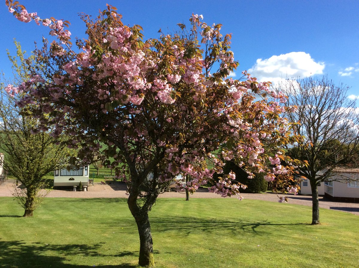 Holiday homes for sale on small peaceful country park in West Somerset, close to Exmoor. Call Marian on 01984 623427