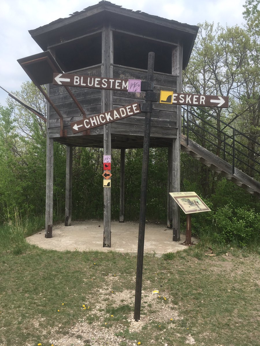 Upland_Hunter's tweet photo. Les randonnées continuent, mais quel sentier prendre?? @Cefsk @DucharmeMJ #APAPleinAir #BirdsHill #Manitoba2019 https://t.co/ijwalJ9q2f