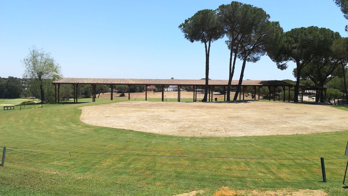 ElsoAyala's tweet photo. Ya se empiezan a notar los cambios en la nueva zona de prácticas, tanto en el #PuttingGreen y el #Chippingreen, la #BermudaUltraDwarf está dando sus primeros brotes laterales. Por otra parte ya tenemos la altura de corte en la #Bermuda419 ⛳👏💪 https://t.co/tLHOuq0ykC