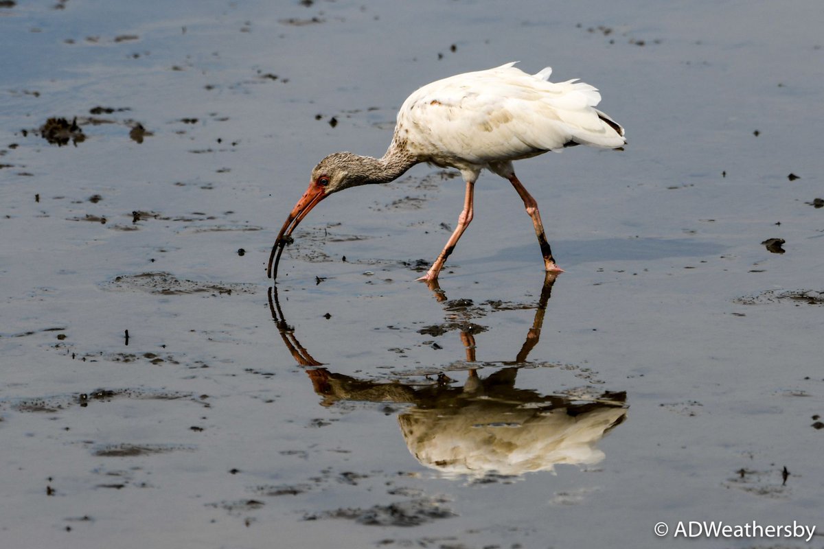 leadlearnerfeed's tweet image. Twitter