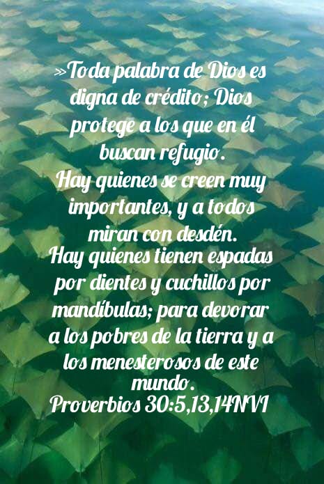 OyM_dtD's tweet photo. 📬
De:#ConsejeroAdmirable
Para:@SenadoGovCo🇨🇴
#Ref_ #PlenariaSenado
@NoticieroSenado
📖Sirvan al SEÑOR con temor; con temblor
ríndanle alabanza.
✍️🤴David
#MenúMayo30_🌱
#QuéDiceElSeñor
#LibroProverbios 30:1-33
✍️🤴sabio Salomón
➡️#Hoy30Cap30👂https://t.co/hy6l80oPD2🖼️🎨🖌️OyM https://t.co/jItIOnn3mN