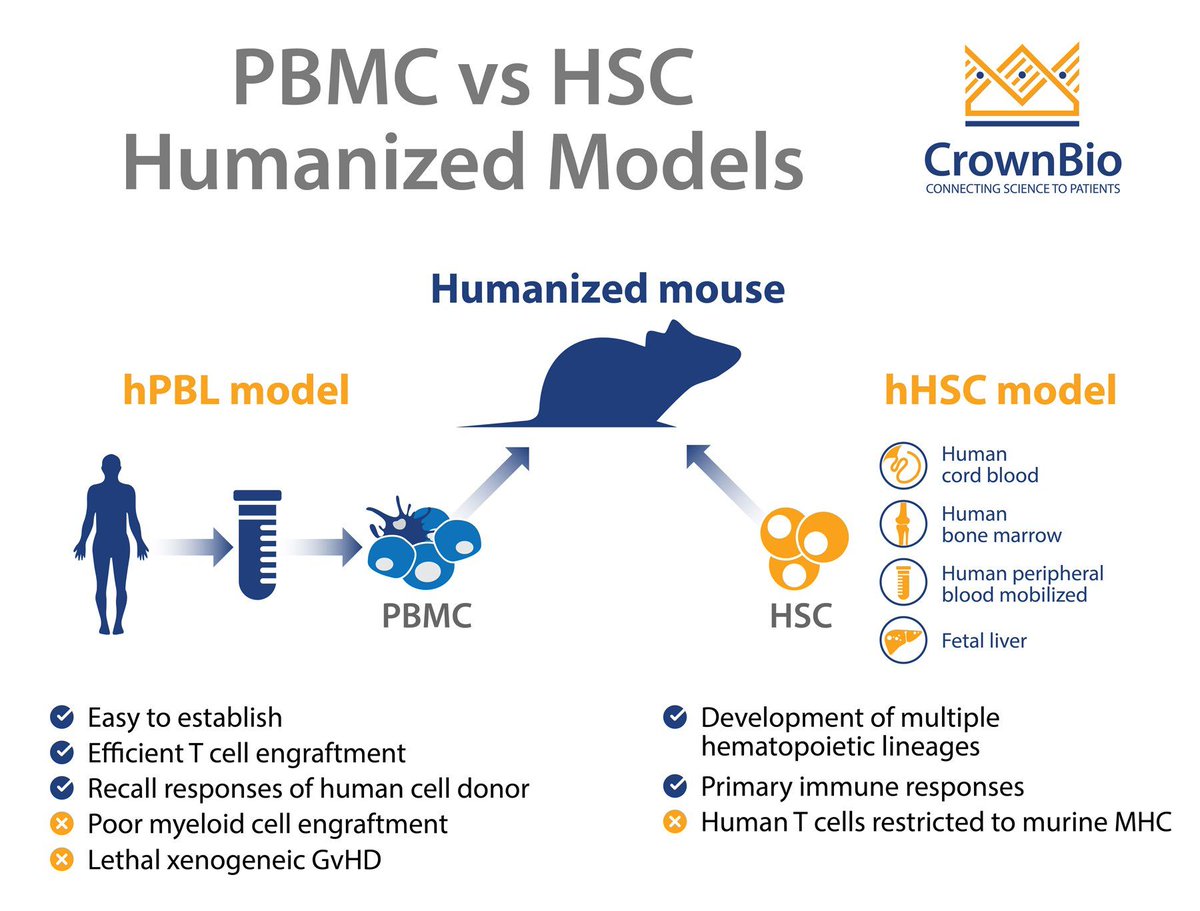 crownbioscience's tweet image. #OncologyBlog: Review the Key Differences between #AdaptiveImmunity and #InnateImmunity in hPBMC and hCD34 Humanized #MouseModels buff.ly/2VWMmyE
