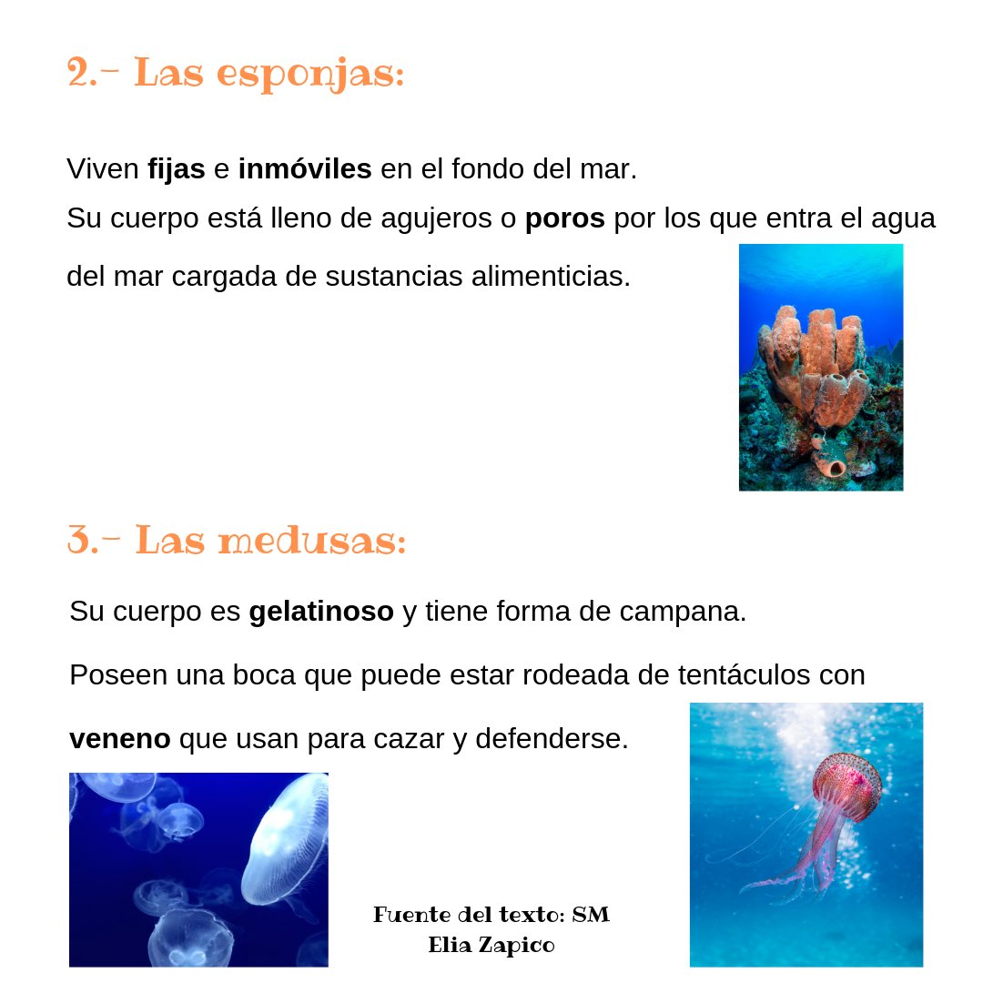 EliaZapico's tweet photo. Los animales, 3ª parte #primaria #adaptandomaterial @JorcdORIEN @mluisamf12 @imgende @jesusjarque @OcupaTEA https://t.co/1GzdzWcpoU