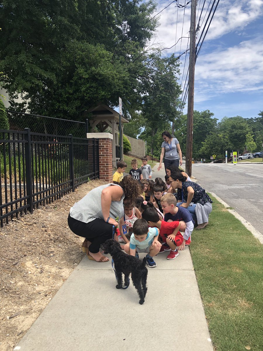 clacktos's tweet image. As part of our unit on living things, 3K/4K Spanish helped take care of Ms. Maria’s puppy, Sacha. They decided he needed to go for a walk 🐶 We all felt the ground to make sure it wasn’t too hot. @AISLearns