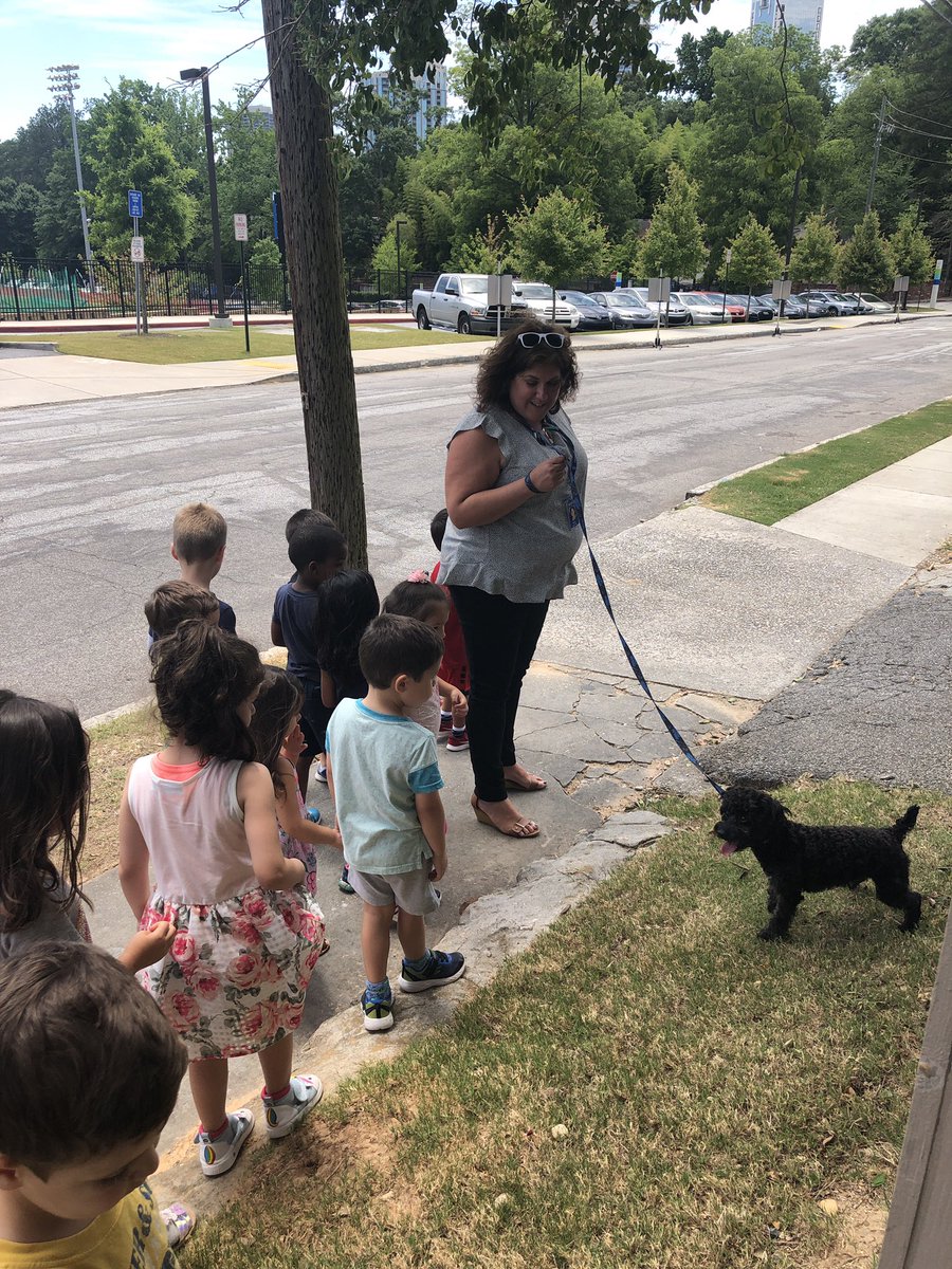 clacktos's tweet image. As part of our unit on living things, 3K/4K Spanish helped take care of Ms. Maria’s puppy, Sacha. They decided he needed to go for a walk 🐶 We all felt the ground to make sure it wasn’t too hot. @AISLearns