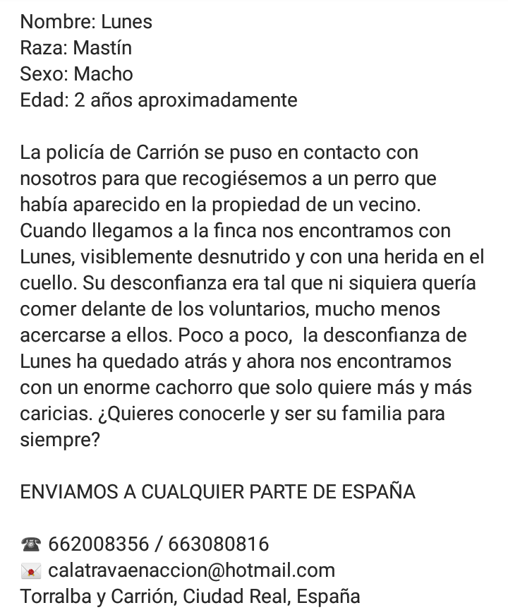 Calatrava en Acción tweet media