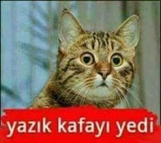 #MEBKomisyonuSonuçlandr 
 <a href="/safran1958/">Mustafa SAFRAN</a> <a href="/ziyaselcuk/">Ziya Selçuk</a> <a href="/TurkEgitimSen/">Türk Eğitim Sen</a> <a href="/_aliyalcin_/">Ali YALÇIN</a> @hmzaydg <a href="/TCAdanaValiligi/">T.C. Adana Valiliği</a> @AdemBUDI8089747 @arzuerdemDB <a href="/gul_davut/">Davut GÜL</a> <a href="/RTErdogan/">Recep Tayyip Erdoğan</a>