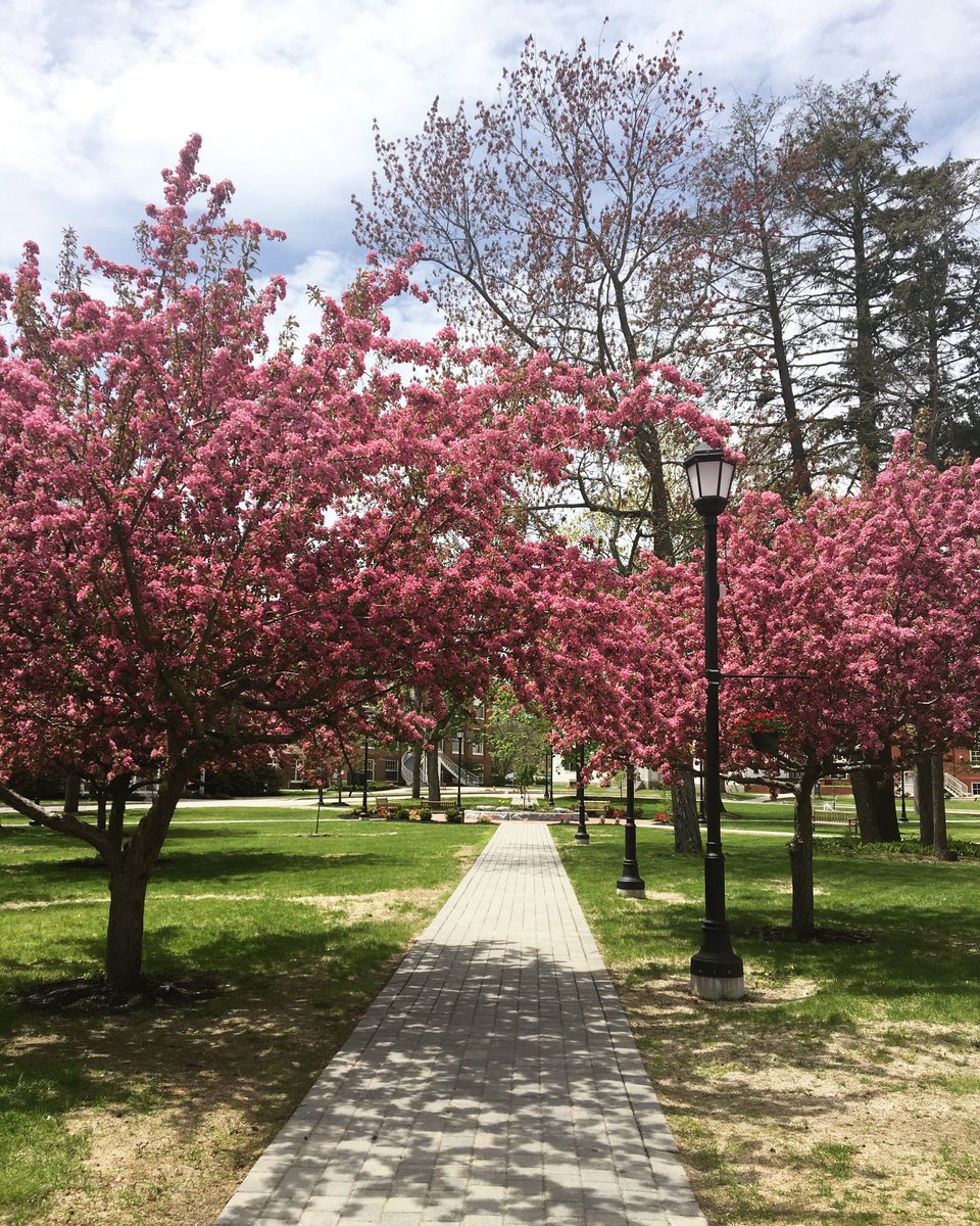 UNECDM's tweet photo. Spring on our campus! 🌺🌹#UNE #UNECDM #Spring https://t.co/YH8ynG3wwT