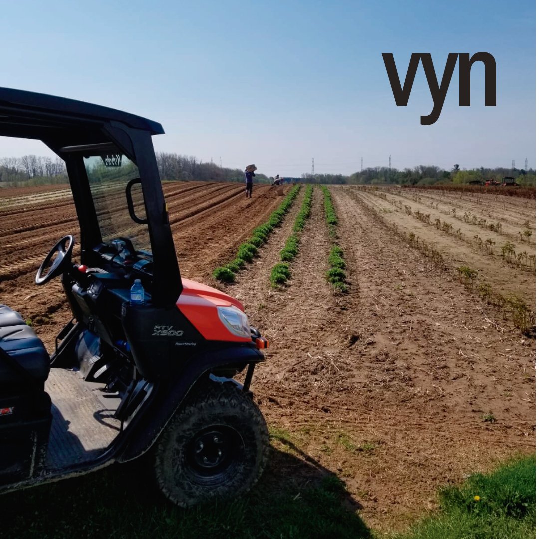 Vyn Home Décor (@VynFlowers) / Posts / X