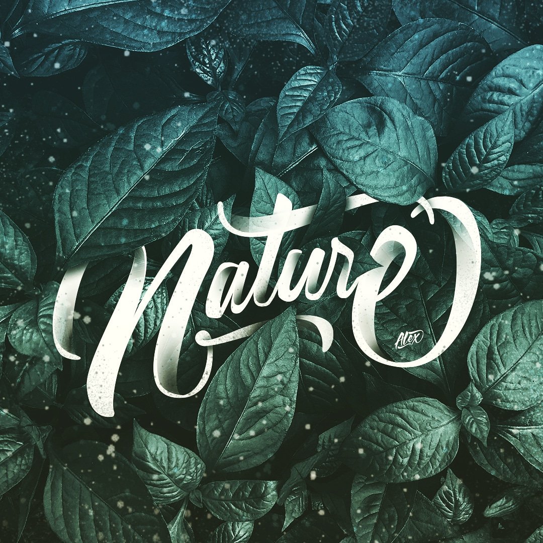 alexandertype's tweet image. Nature LETTERING - Naturaleza #naturelovers #natural #nature #letter #lettering #alexandertype
-¿Te Gustaria ver más? Entra al siguiente enlace  instagram.com/p/Bw7tD2bFUar/…