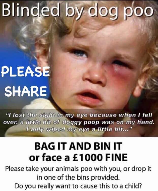 BevMoyle's tweet image. 