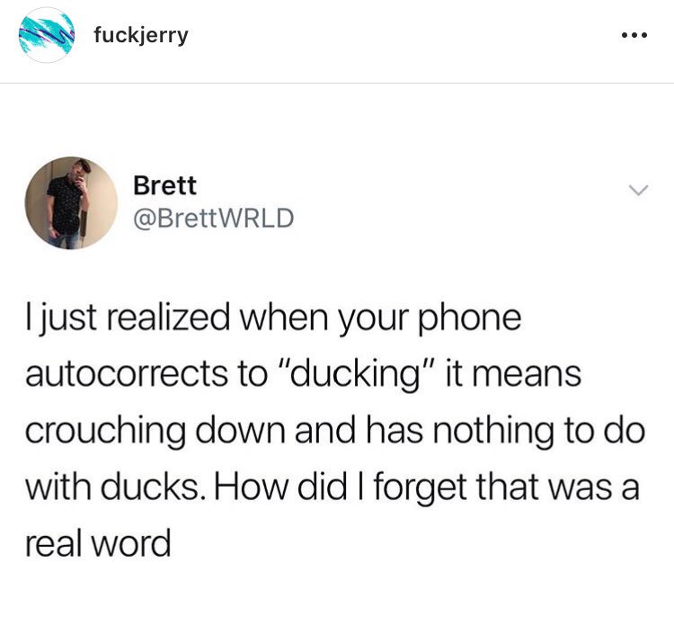 eaubelhor's tweet photo. I’m shook 🐥 totally forgot that word existed https://t.co/te3YvxfKEL