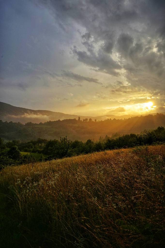 ThriveologyBook's tweet photo. Sunshine after rain. Croatia, Zumberak nature Park. [OC] [1333x2000] via https://t.co/ClzZOY1qtJ https://t.co/yX7qiqaHER