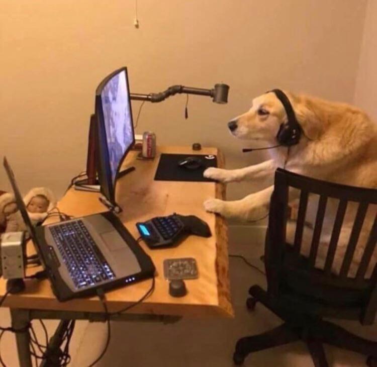 cursed_thought's tweet image. 🤔