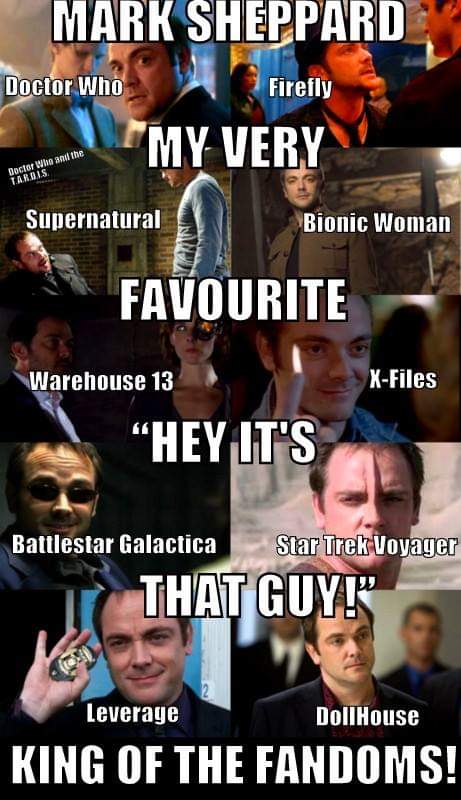 Happy Birthday, Mark Sheppard! 