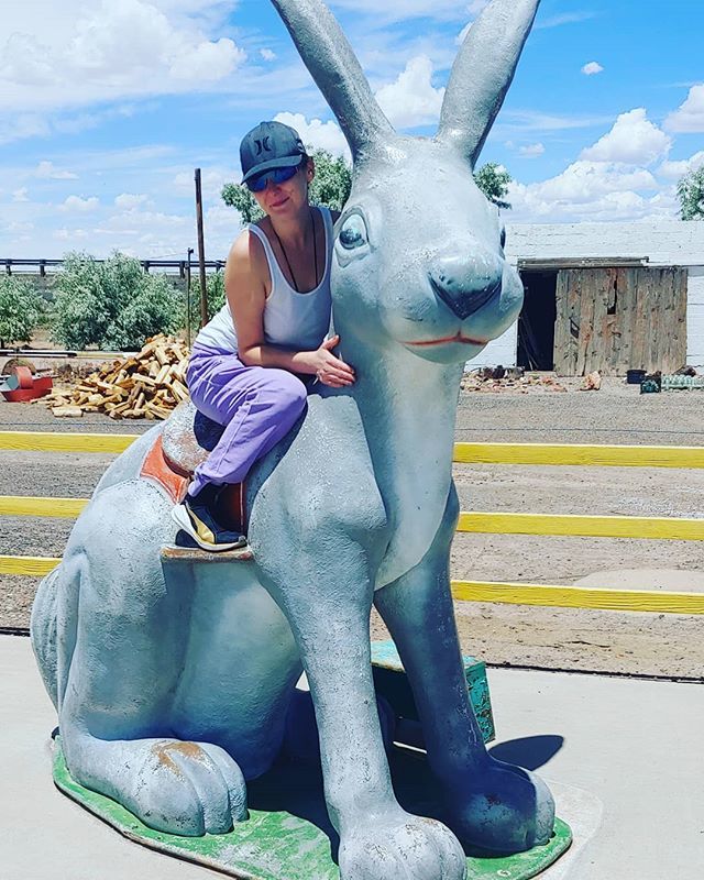 KossacPrincess's tweet photo. Just a Girl on a Rabbit..
#route66 #arizona #jackrabbit #tradingpost #rabbit #bunny #huge https://t.co/l2gbrHWb1l https://t.co/vu2DoGvCyB