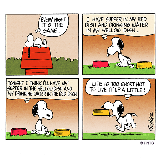 Snoopy's tweet photo. Breaking my routine. https://t.co/ZVzAjNqlF2