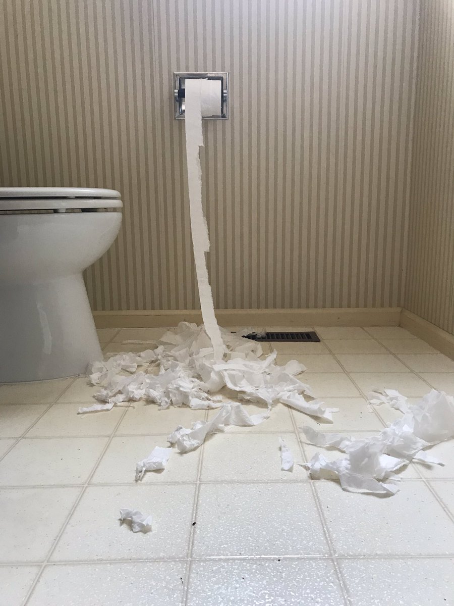 BiancaBujan's tweet image. When you’re all wrapped up in your work, and your dog has other plans... 😬 #WorkFromHomeProblems