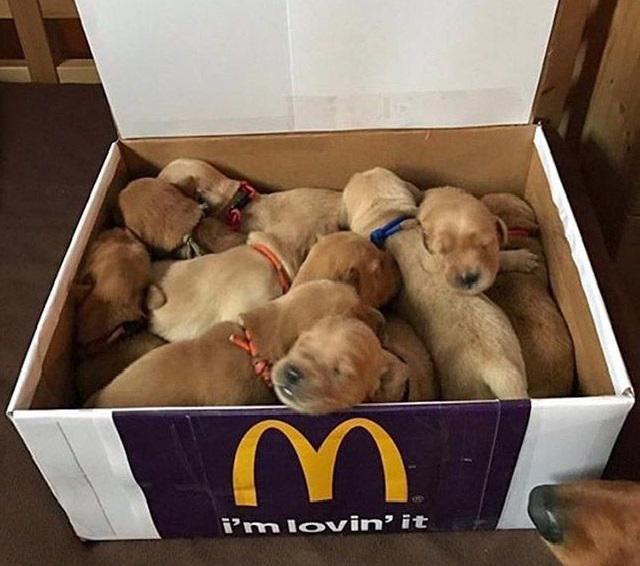 cursed_thought's tweet image. 🤔