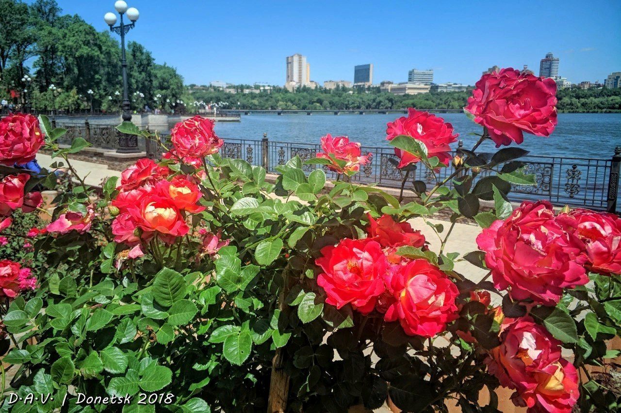 D72IQ5MXkAA4fly.jpg:large