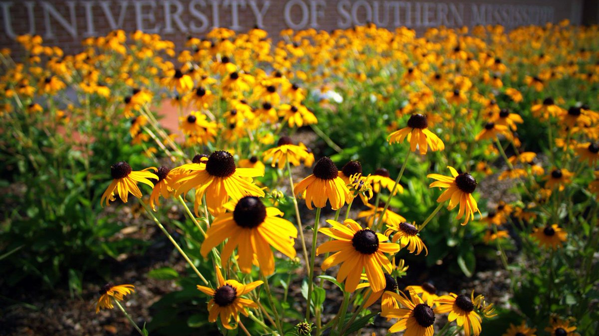 SouthernMiss's tweet photo. Looking at college options? Schedule a campus tour and make a visit to Southern Miss part of your summer plans.

➡️ https://t.co/O3GU6JwLir https://t.co/qSkTM1gqGg