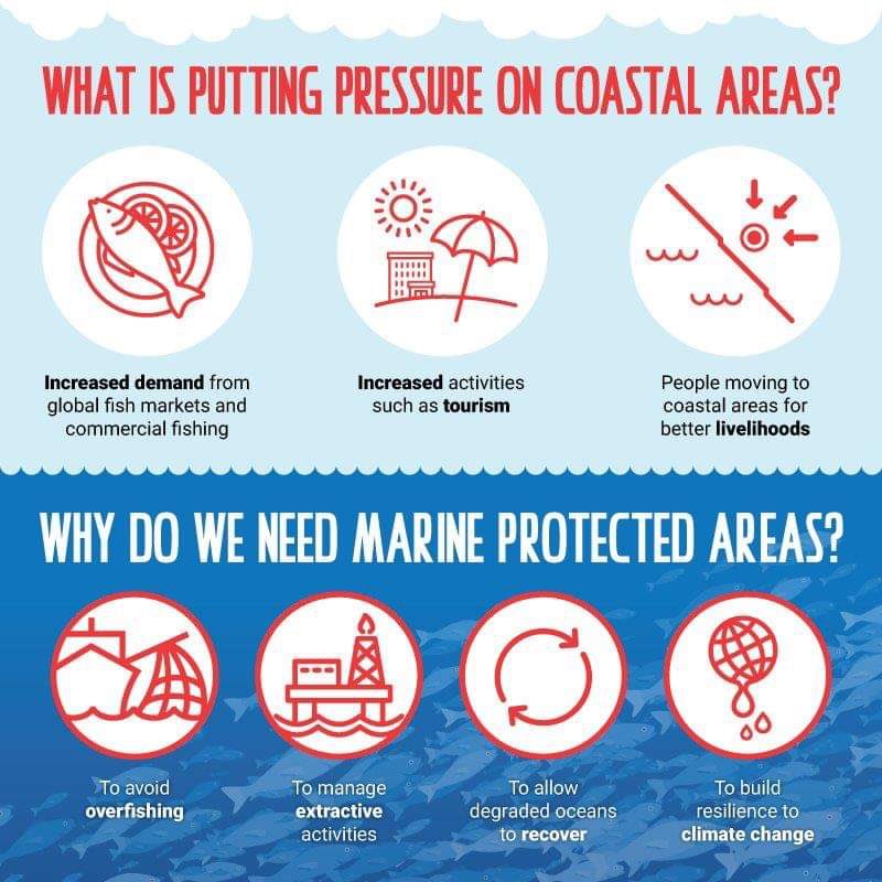 galassitweets's tweet photo. A healthy world ocean is critical to our survival. Every year, World Ocean Day provides a unique opportunity to honor, help protect and conserve our world’s shared ocean. #WorldOceansDay
#UnitedNations
#8June2019 https://t.co/R5ch751c23