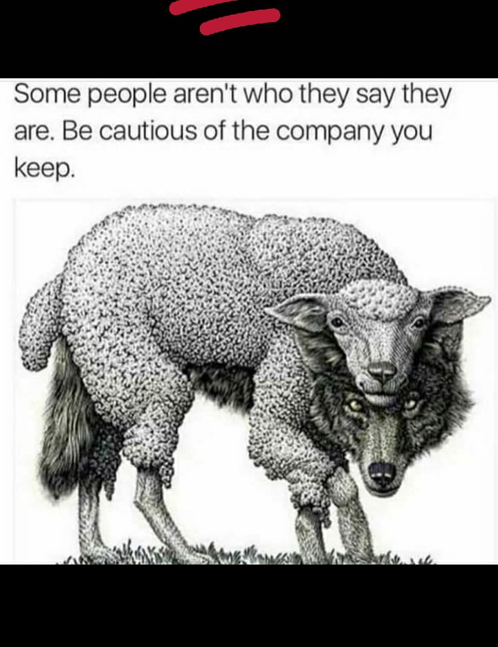 noumanzz21's tweet photo. ⚔️#MCbuddy #MK5800 https://t.co/Bhx1L29M4X