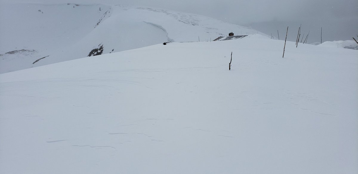 RockyNPS tweet media