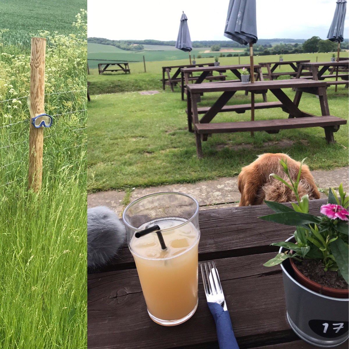 Things you find on a walk on #TheRidgeway.. great pub lunches.. and a diving mask??