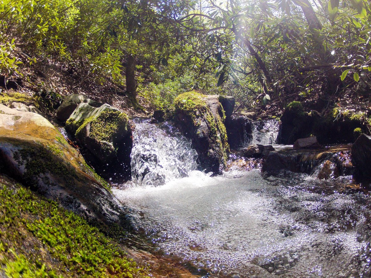 creek_mountain's tweet photo. We love big waterfalls, but the little ones are pretty cool too.
#alwaysadventuring #optoutside https://t.co/xUZhXNn3I5