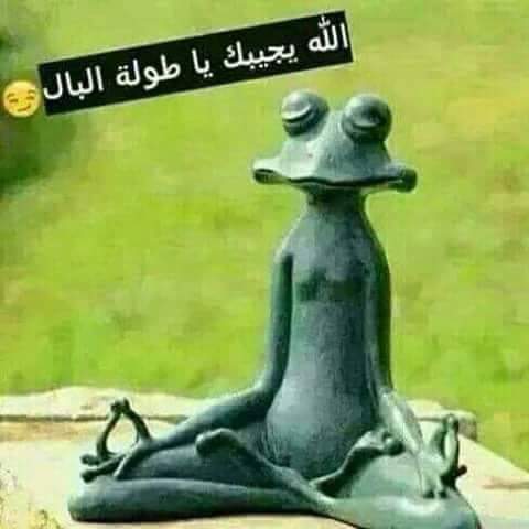 مرحبا اي بنت او مجوزة حاهزة نلتقي بمقابل مادي وسرية تامة غازي عنتاب انا جاهز 😚😍😙