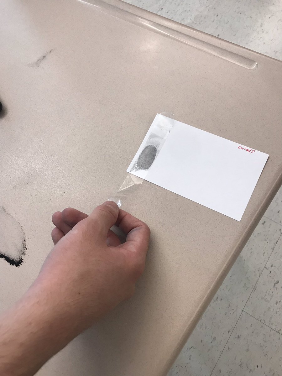 SLCarr0129's tweet photo. Crime Scene Investigation in Criminology   #futureinvesigators  #UMHSLearns https://t.co/UoEVzz5YXu