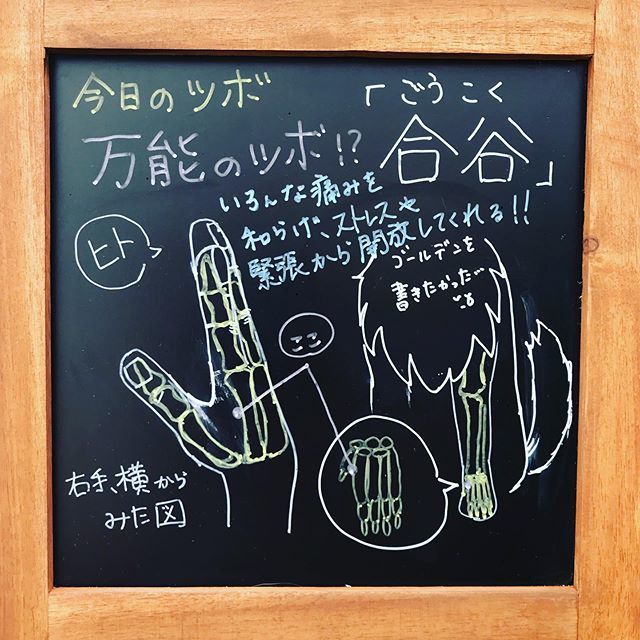 手の陽明大腸経 Hashtag On Twitter