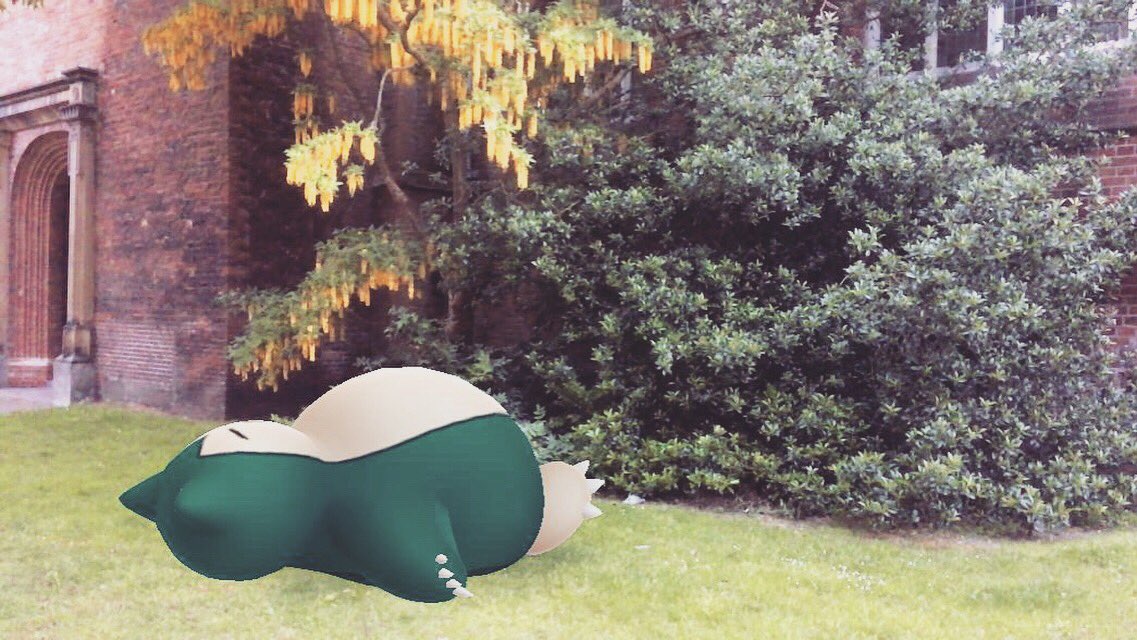 crazycoen's tweet image. Vergeet niet deze slapende jongen vast te leggen in #arplusmode! Met #gosnapshot is hij wakker. Pak de kans nu het nog kan!

#pokemongo #pokemongonederland #sleepingsnorlax #snorlax #pokemongophoto #pokemonphotography #pokemonphoto