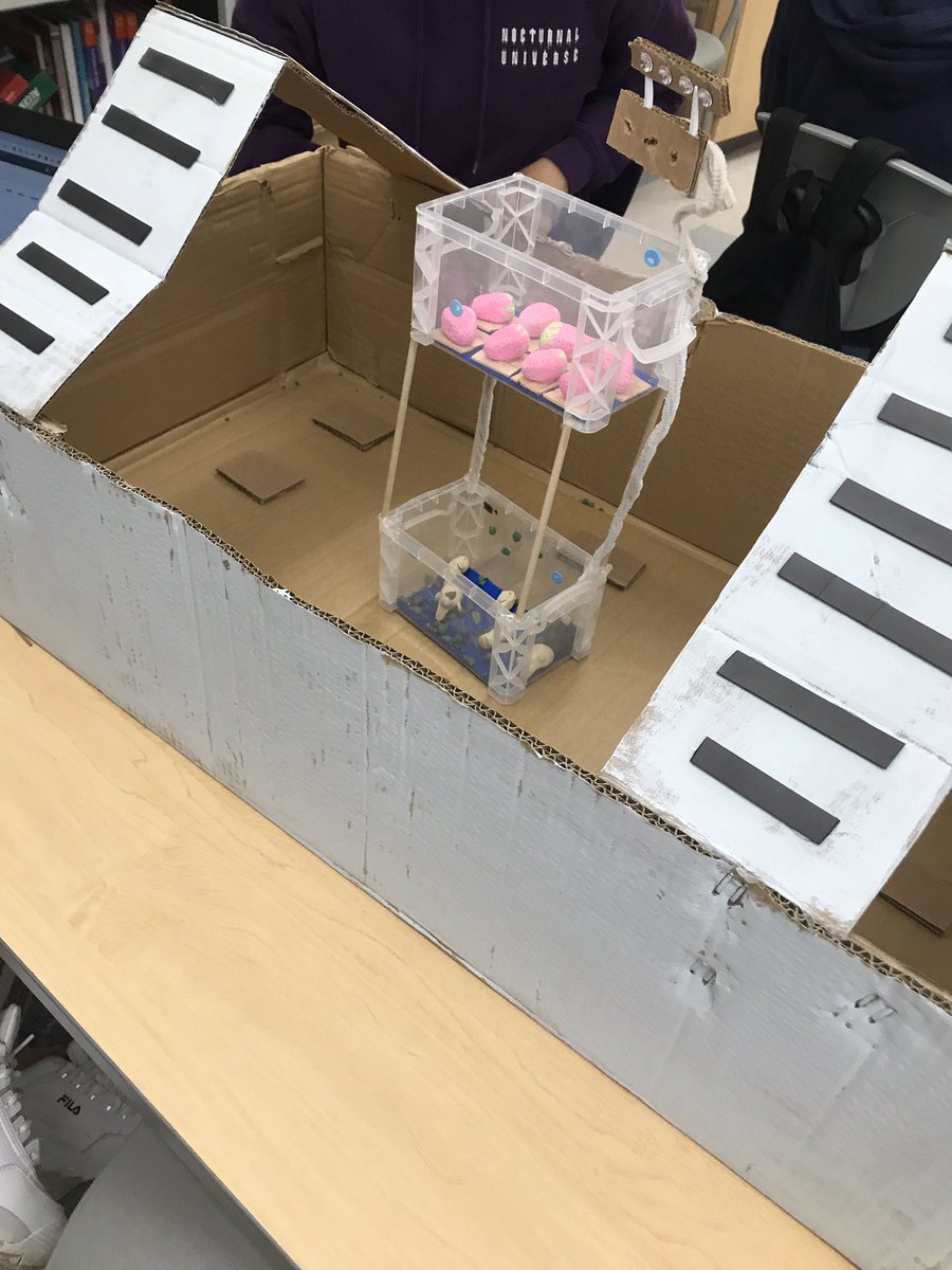 dr_monaghan's tweet photo. Checked out aquaponics proposals from Ms. Bleach’s class @NBHSZebras These #zebras are ready to change the world for the better- their thoughtful designs & knowledge was very impressive. #sustainability #stem #allin4NB #nbef #biology https://t.co/yRCNysyljh