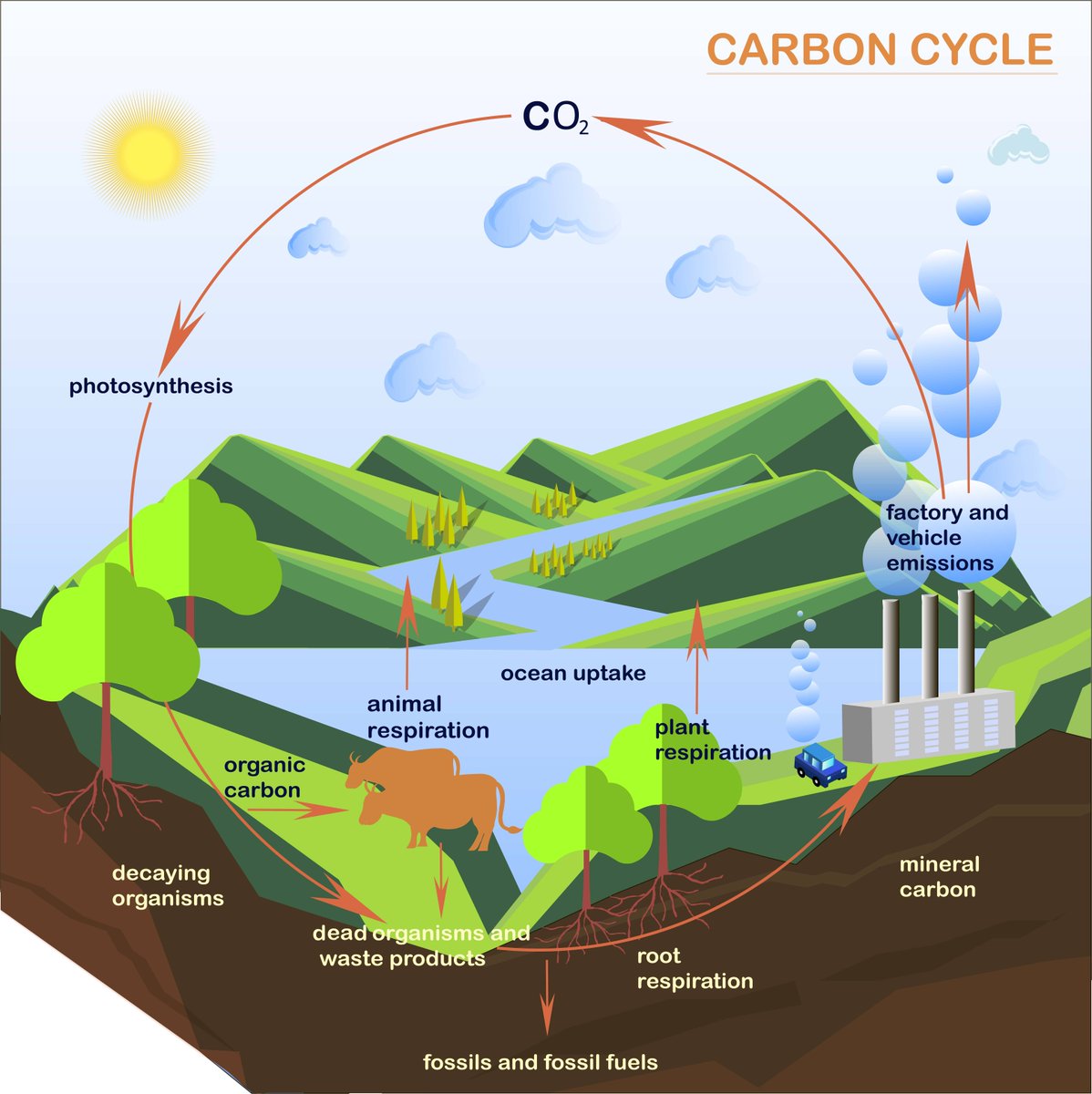 Pnas On Twitter The Ocean Carbon Sink Could Be Responsible