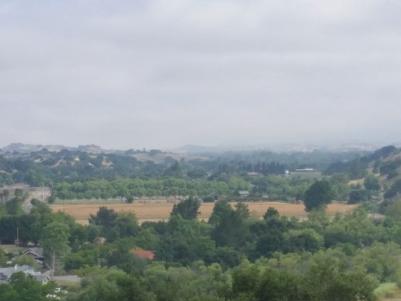 Windrun_Wine's tweet photo. @MsPullThatCork correct #WindrunWine takes its name from cooling winds passing through vineyard, important for #pinotnoir. View from partner Mark Oliver's #SantaYnezValley porch inspired brand logo. https://t.co/9YNe2dXso8