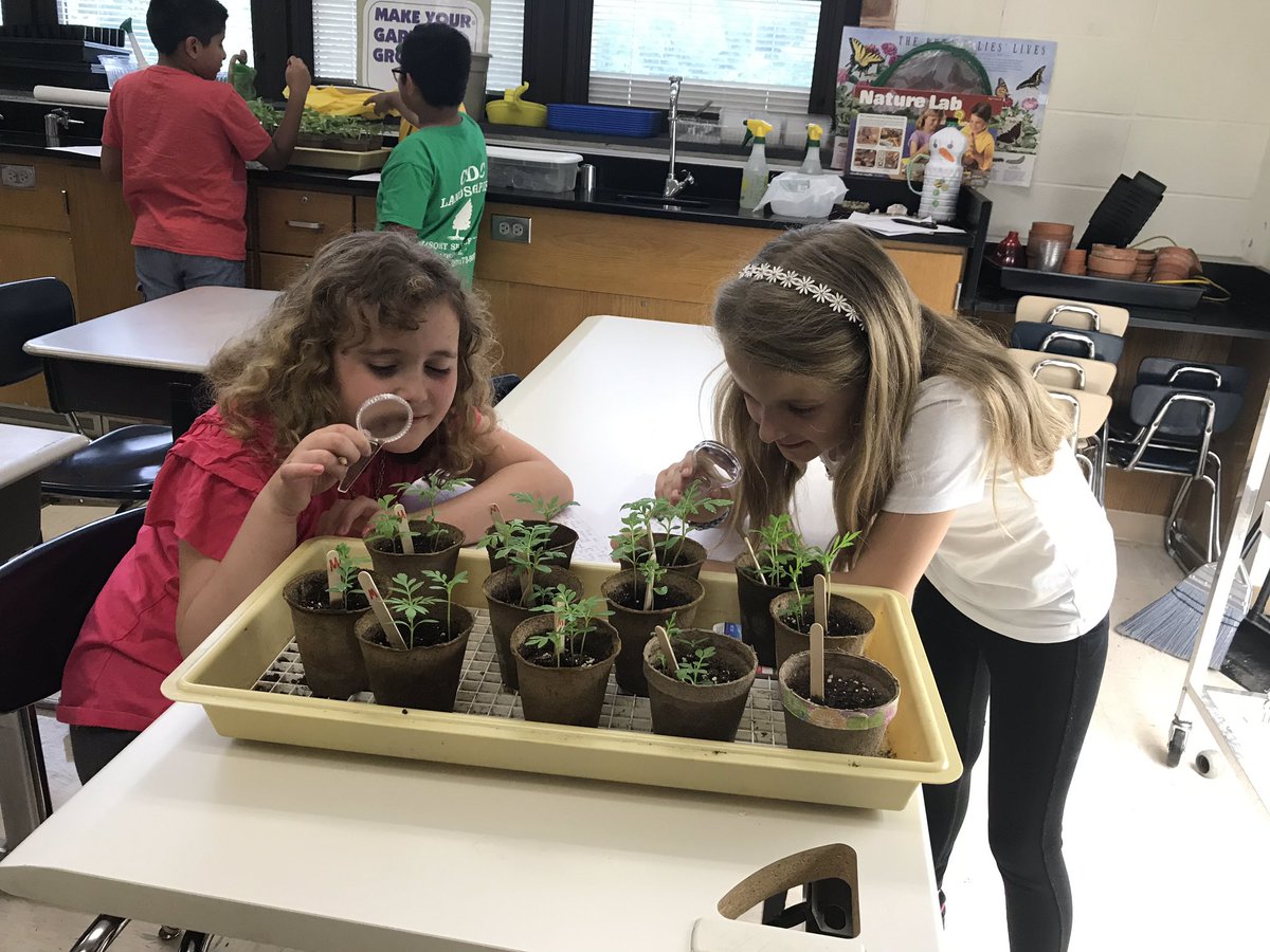 Mary Lucille Ragoza (@lucyragoza) on Twitter photo BTS Environmental Club has been busy cleaning school grounds, designing recycled crafts like a birdhouse made from Chinese food containers and observing our garden growing! Thanks <a href="/MacScienceBTS/">Patrick McNamara</a> for magnifying glasses! <a href="/BedminsterPTO/">BedminsterPTO</a> @SraGriffithBTS, <a href="/CorbySwan/">Corby Swan</a>, @jgiordanobts BTS Environmental Club has been busy cleaning school grounds, designing recycled crafts like a birdhouse made from Chinese food containers and observing our garden growing! Thanks <a href="/MacScienceBTS/">Patrick McNamara</a> for magnifying glasses! <a href="/BedminsterPTO/">BedminsterPTO</a> @SraGriffithBTS, <a href="/CorbySwan/">Corby Swan</a>, @jgiordanobts