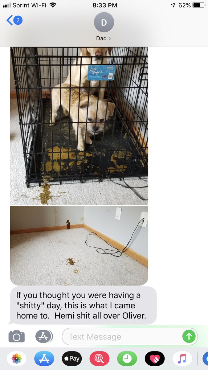 TheBestZac's tweet photo. My dog had a tooth pulled yesterday and apparently the anesthesia didn’t agree with her stomach☠️☠️☠️ https://t.co/IwsMJTlOox