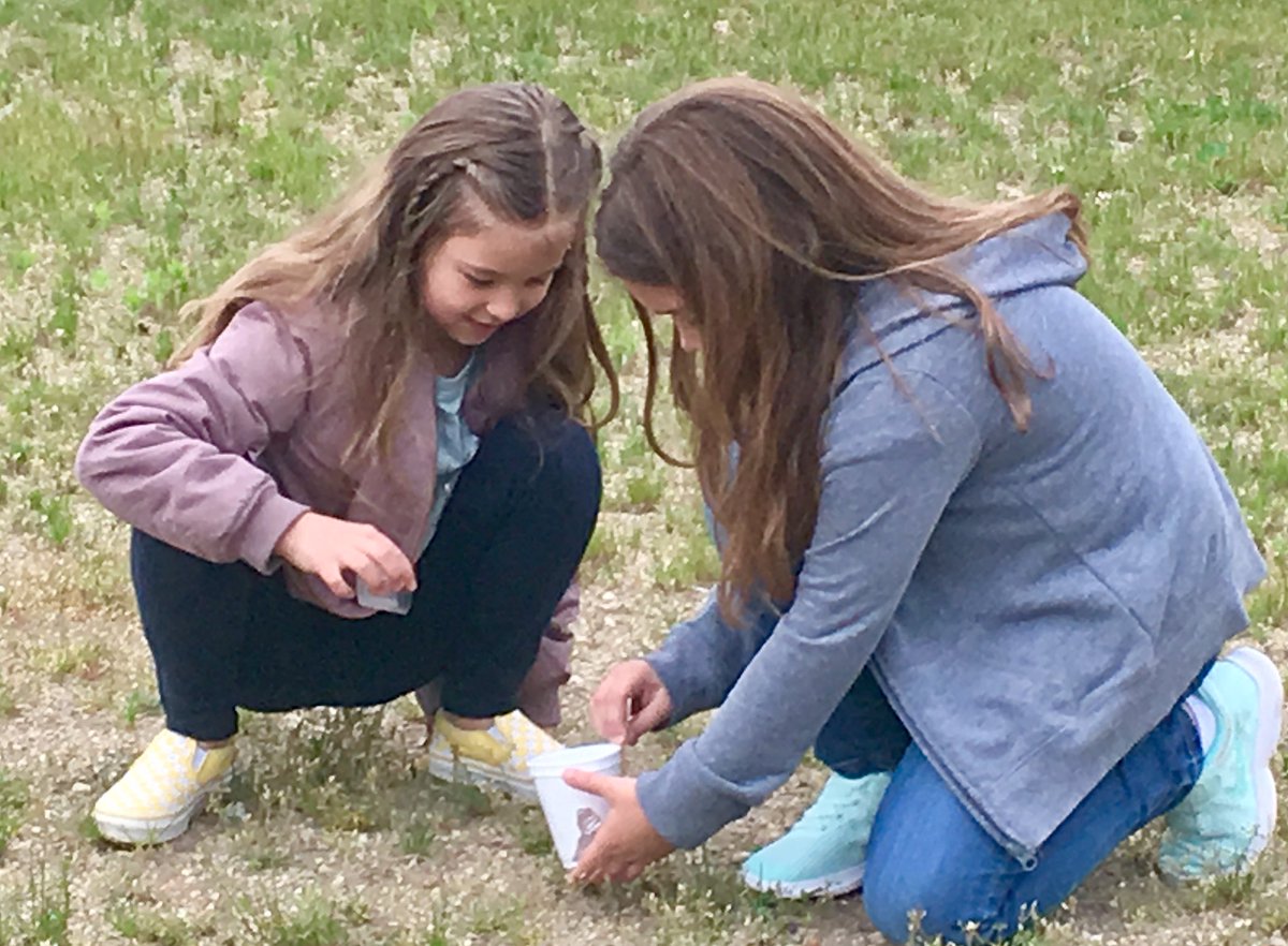 GBSGr2's tweet photo. Engineering design in Ms.Tewksbury’s @GBSGr2, testing seed dispersal models in the courtyard.  #reallifeproblemsolving @PLTWorg https://t.co/qmeHePijnh