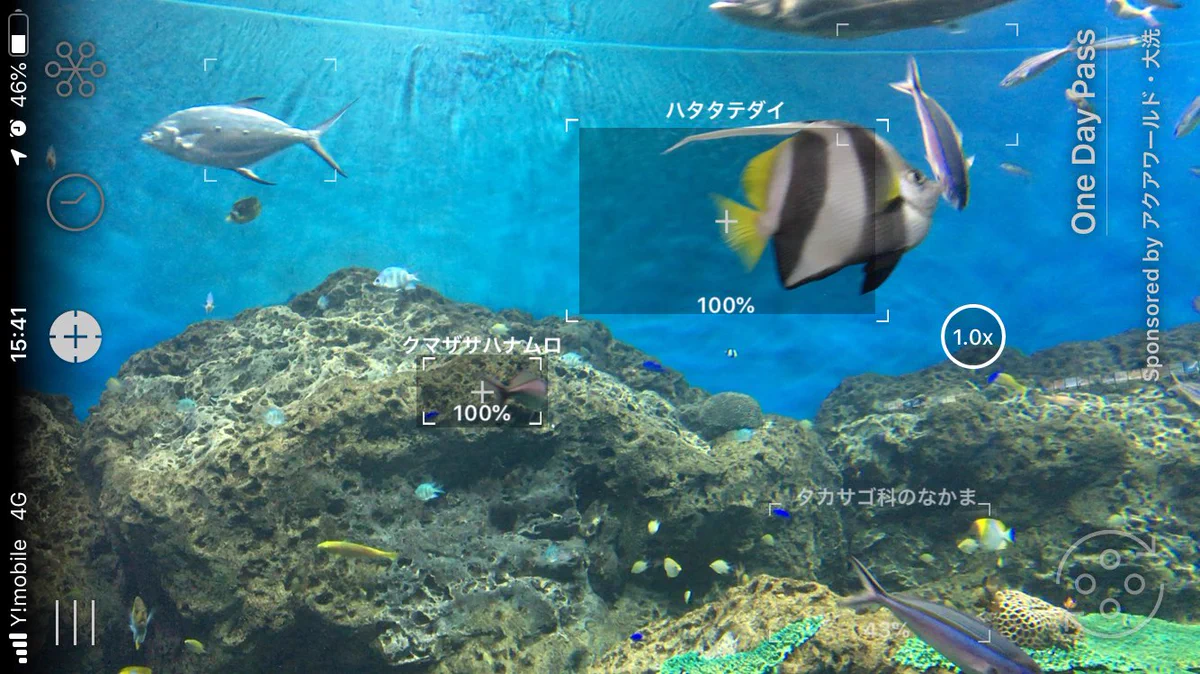 こらは便利。水族館でアプリ使ったら魚の名前がすぐわかる。