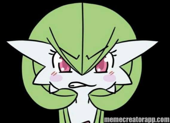 Pokemon Collection Gardevoir When Anons On Reddit Pokemon Pikachu Pikapika